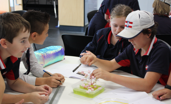 Year 6 Science Circus