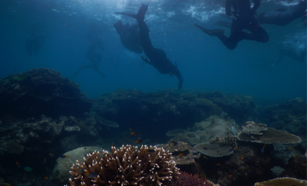 Discovering hidden passions through immersion