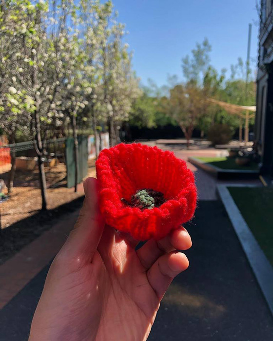Poppies for Remembrance Day