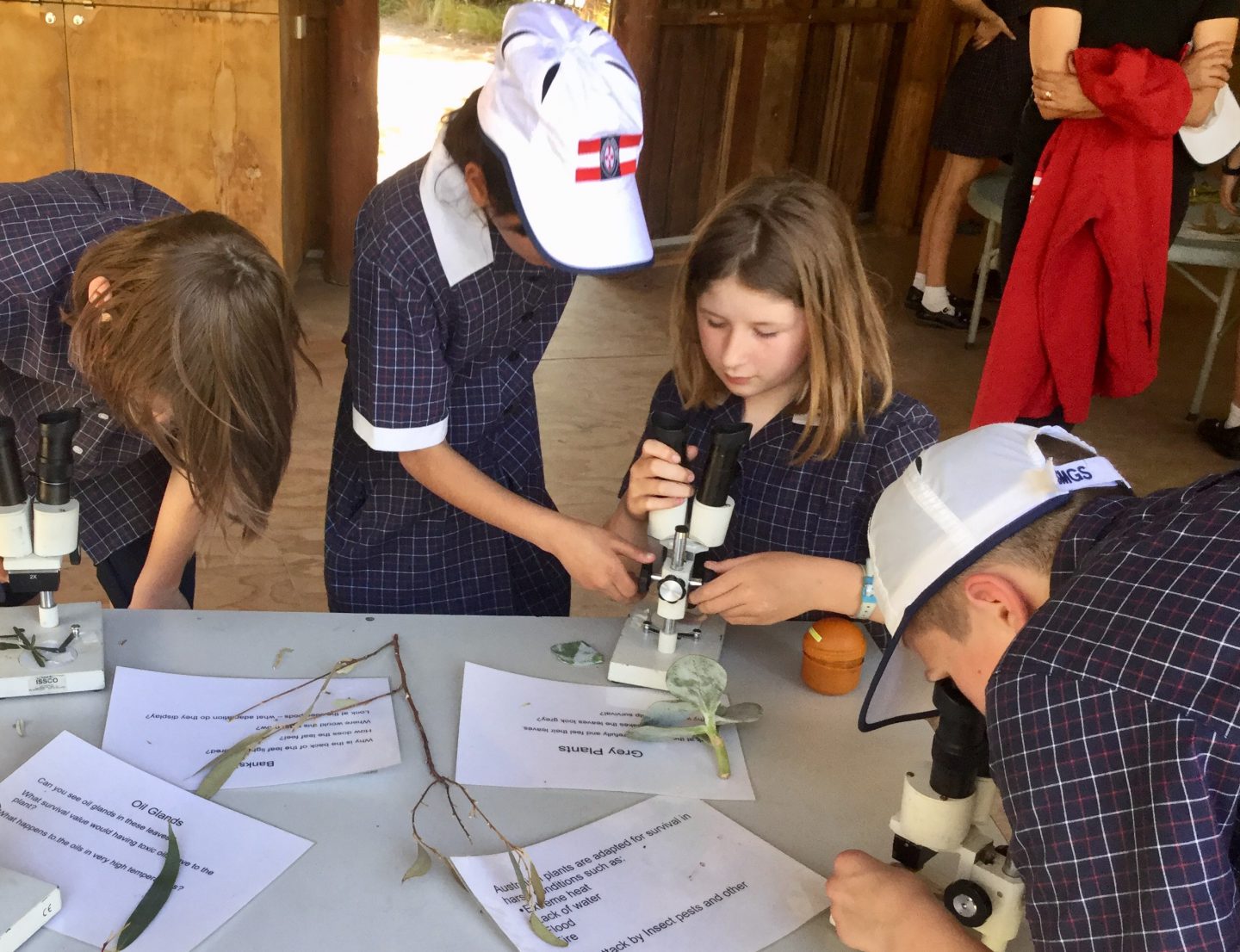 Students visited the Botanical Gardens at the beginning of the inquiry
