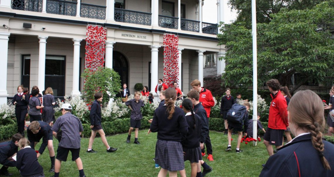 poppies-installation-a-community-act-of-remembrance