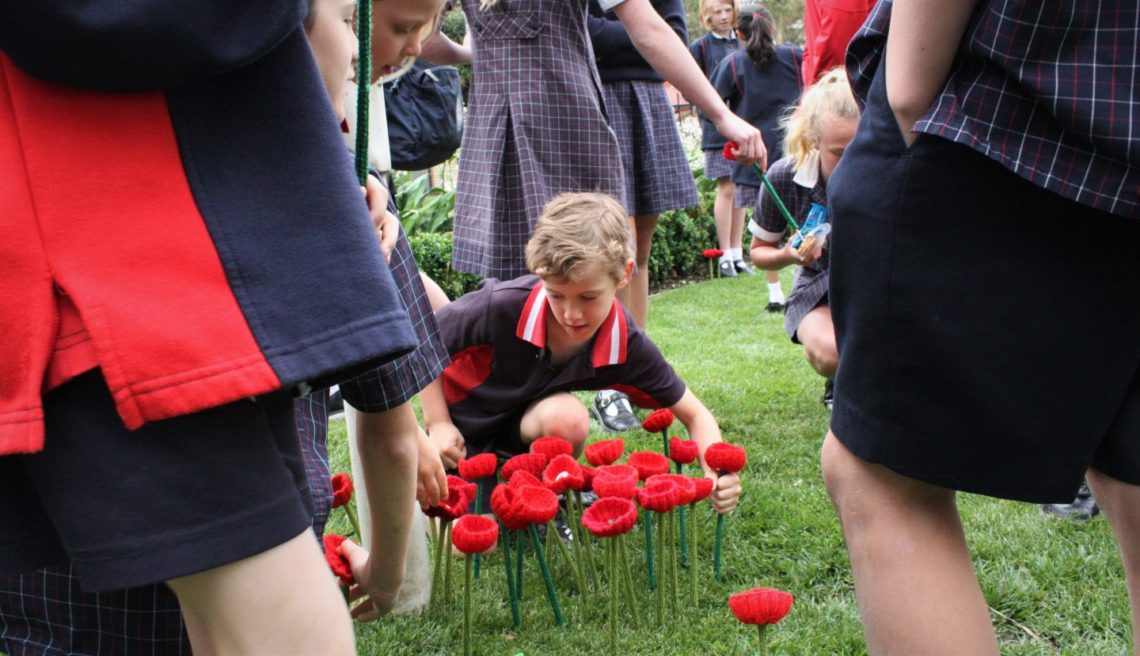 Poppies installation: a community act of remembrance