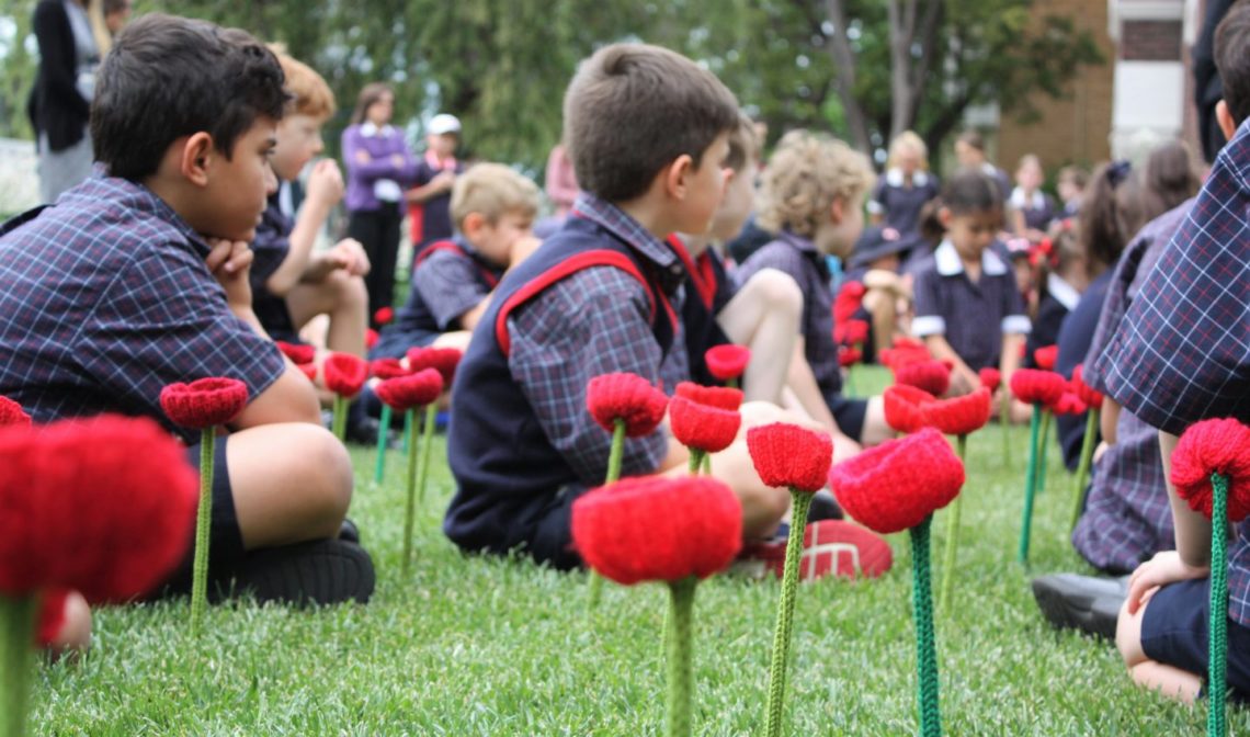 poppies-installation-a-community-act-of-remembrance
