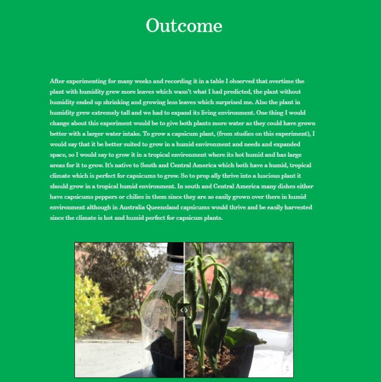 Budding Year 6 scientists investigate how plants adapt to their environment