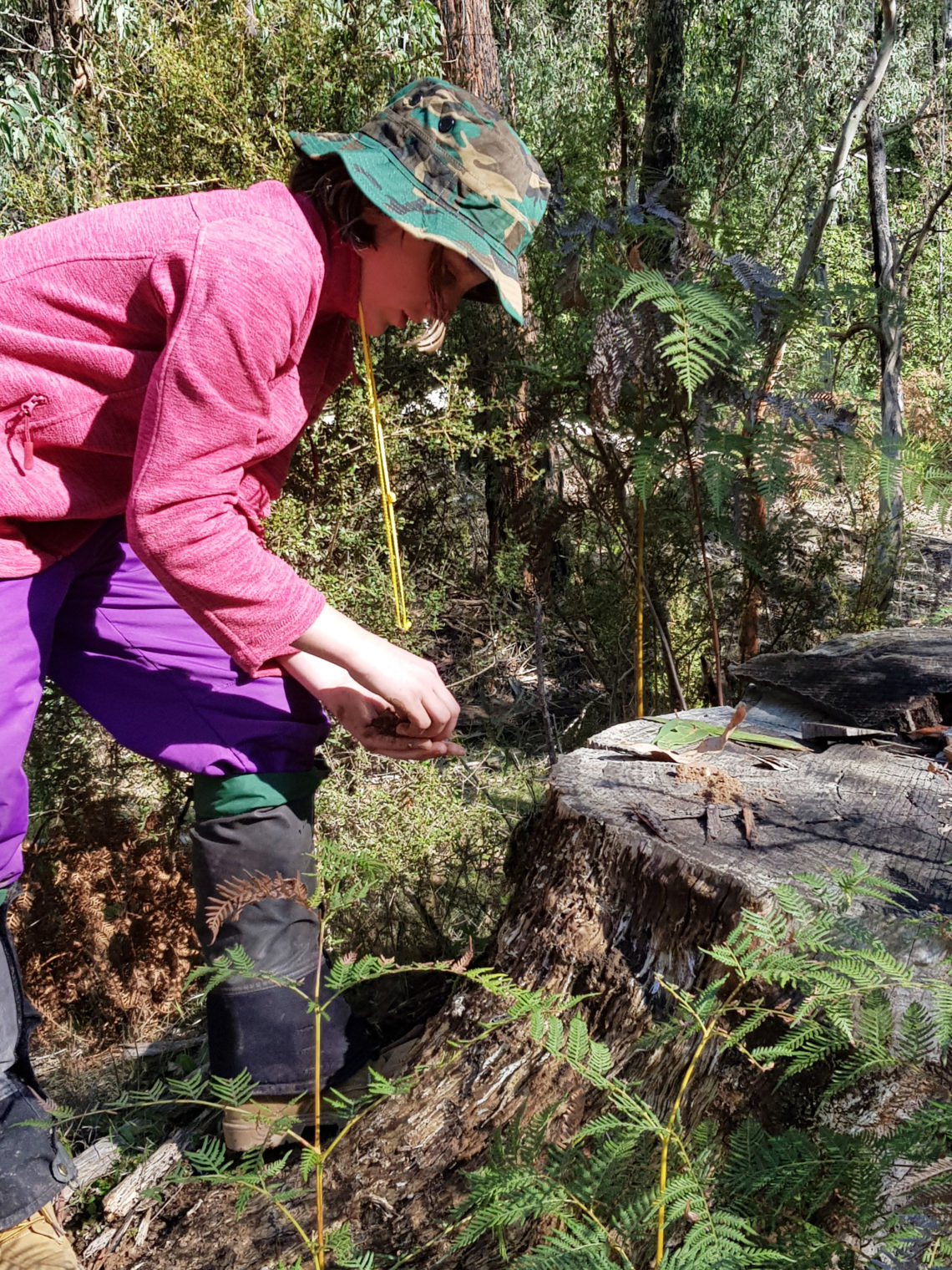 Year 6 Exodus – discovering strengths in Marysville