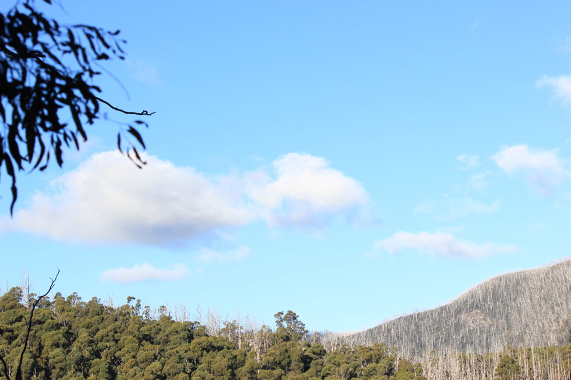 Year 6 Exodus – discovering strengths in Marysville