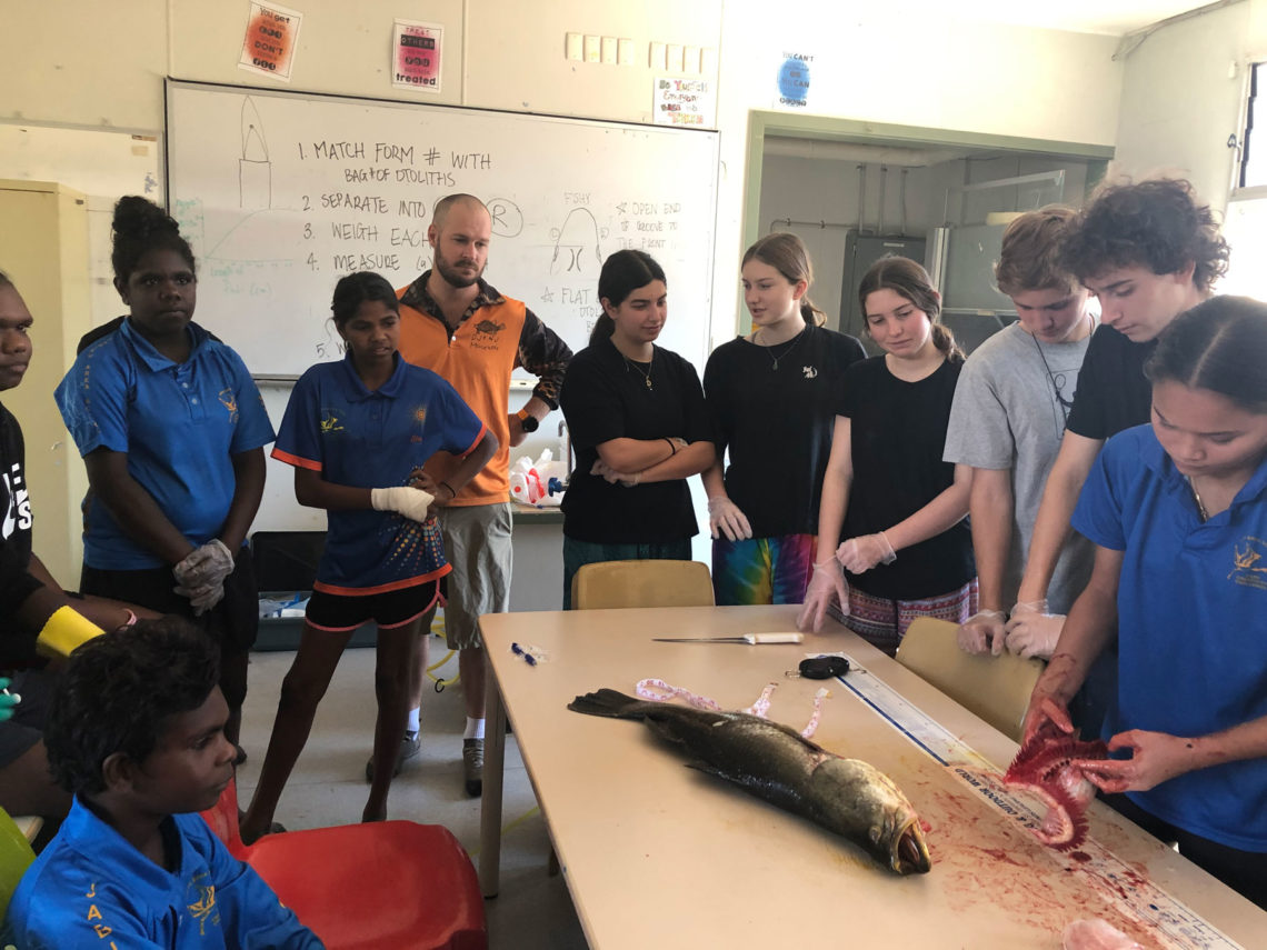 jabiru-building-authentic-connections-through-immersion