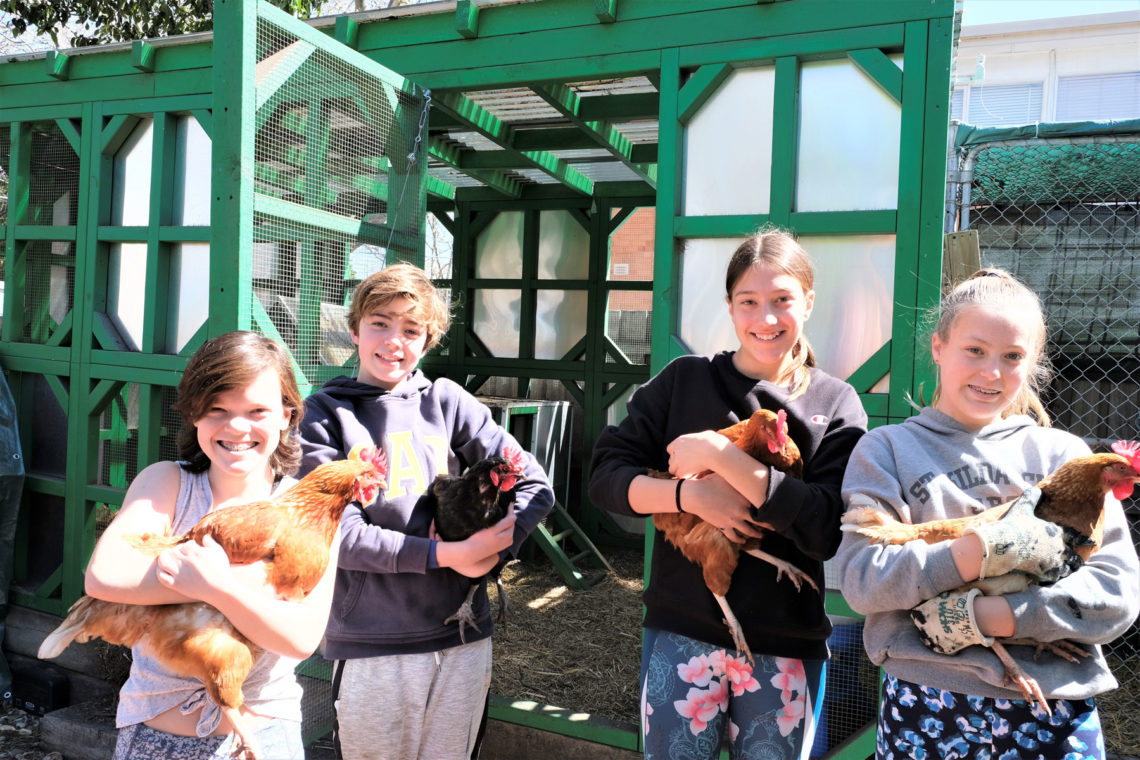 year-7-immersion-programs-unique-learning-experiences