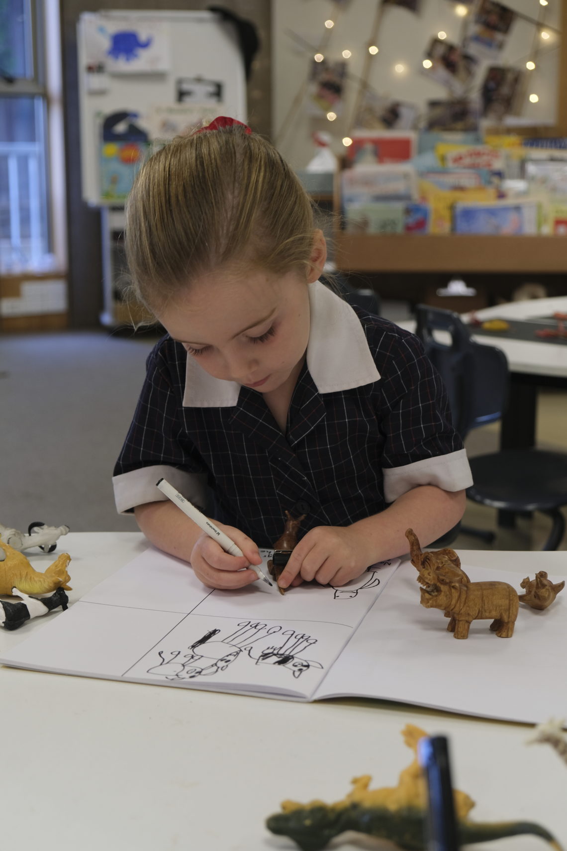 numeracy-in-the-junior-school-why-maths-skills-really-count