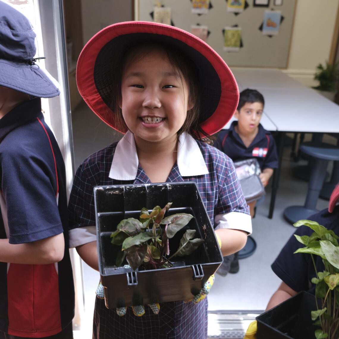 st-michaels-receives-australian-education-excellence-awards