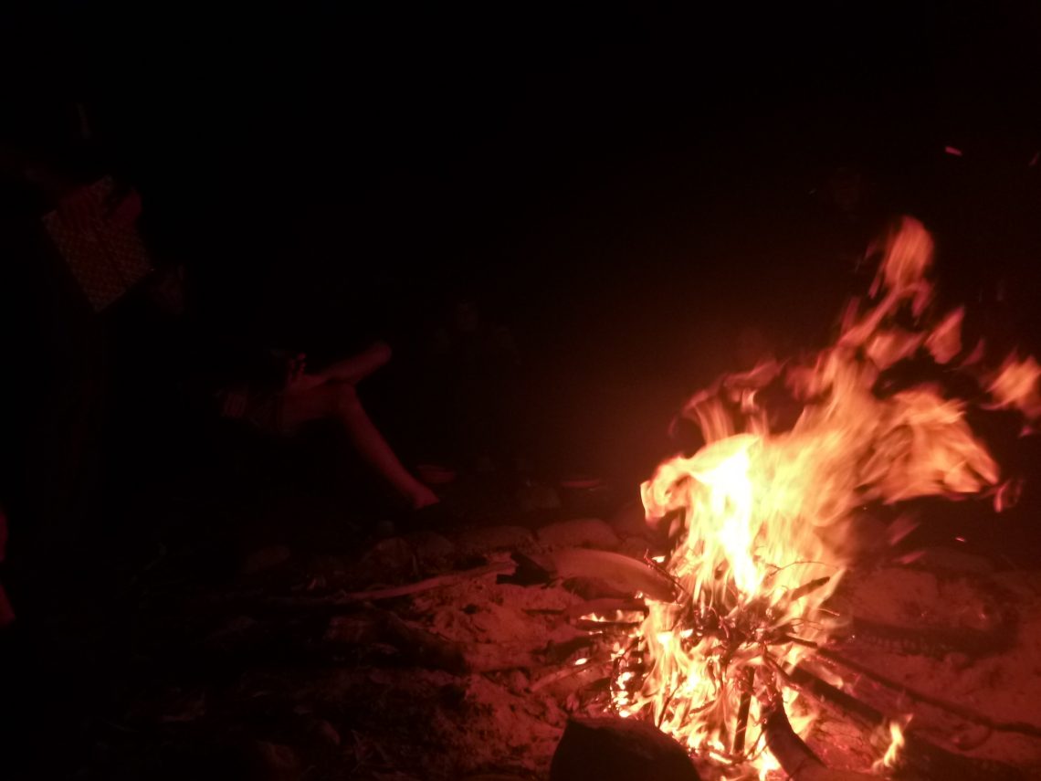 periods-are-wild-promoting-inclusive-outdoor-education-experiences